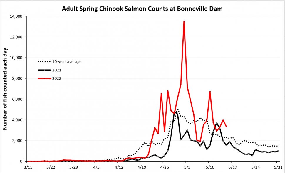 Bonneville Chinook Counts Graph