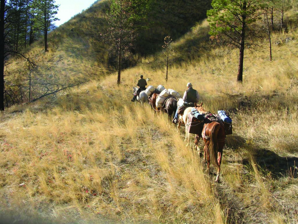 enforcement officers horse packing into the back country October 2005 wide shot