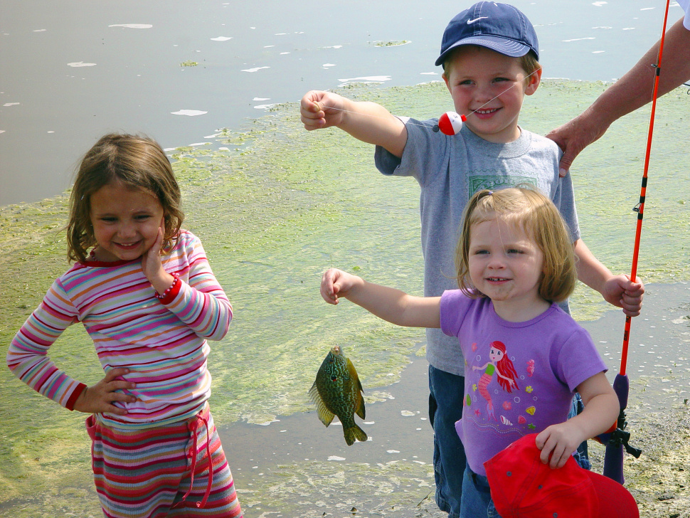 Free: Four children having fun by the fish pond 