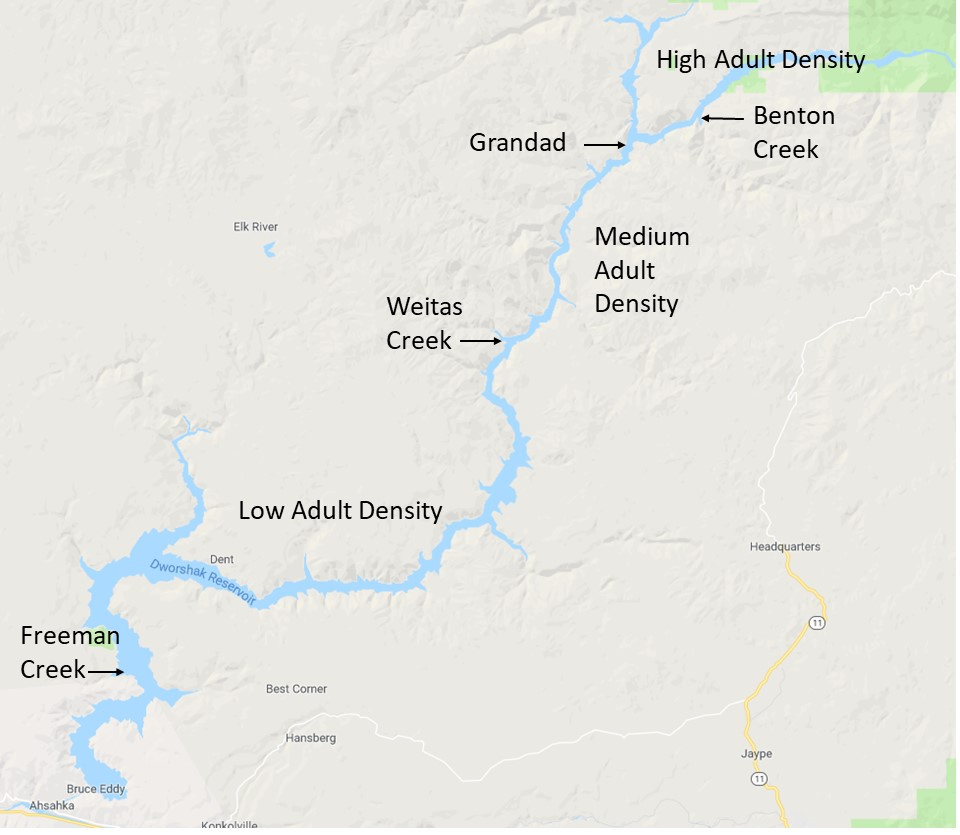 Dworshak Reservoir Fishing Map Still Time To Catch Kokanee At Dworshak Reservoir | Idaho Fish And Game