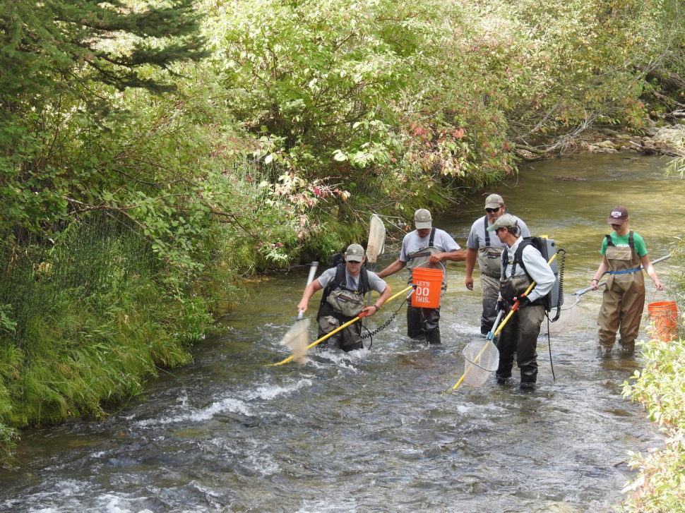 backpack electrofishing