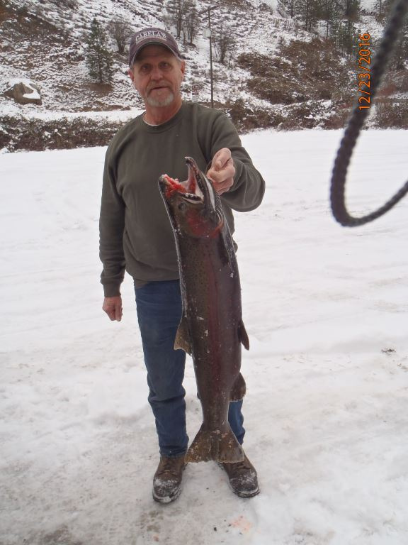 Steelhead fishing success on Clearwater River in December 2016