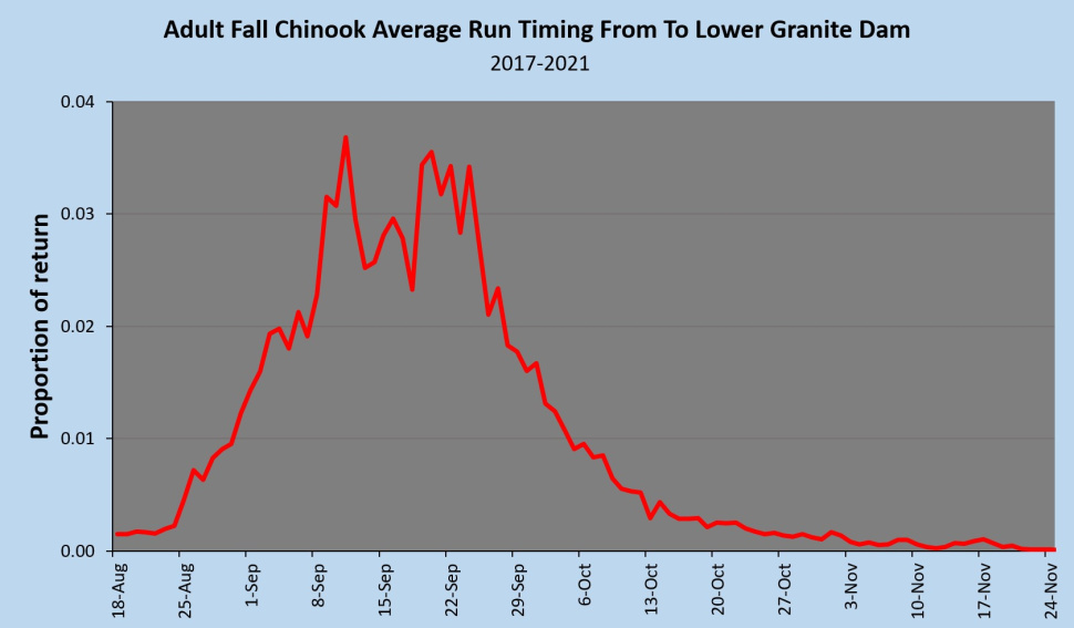 Fall Chinook Run Timing