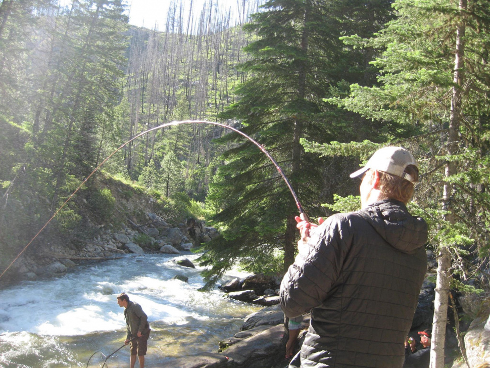 master salmon angler