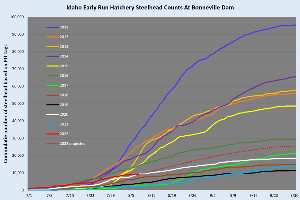 Steelhead run timing over Bonneville