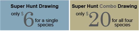 Superhunt prices - single vs combo graphic