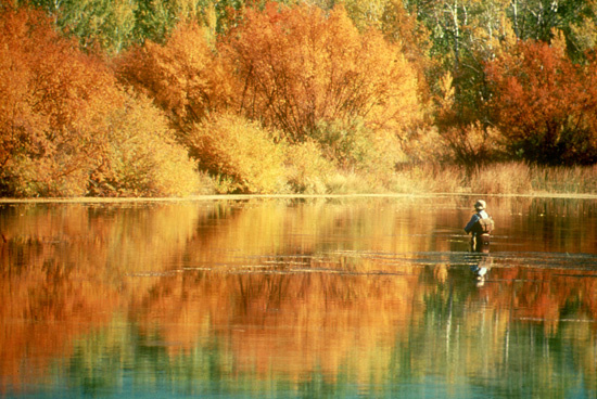 man fishing in a river with Fall colors wide shot small photo