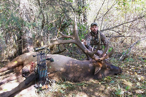 Elk taken illegally with fraudulent license and tag