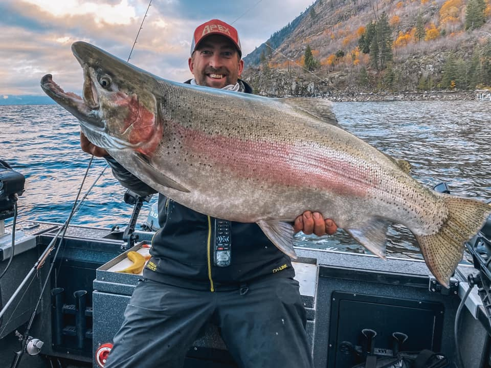 Rainbow trout caught on Lake Pend Oreille