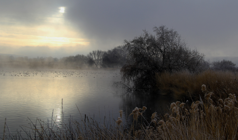 Hagerman Wildlife Management Area: A gem of a location for wildlife ...