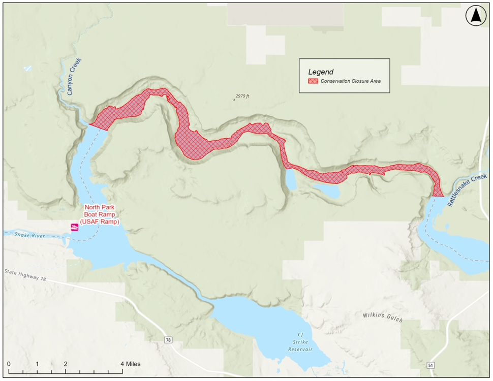 F&G director issues conservation closure for sturgeon fishing on