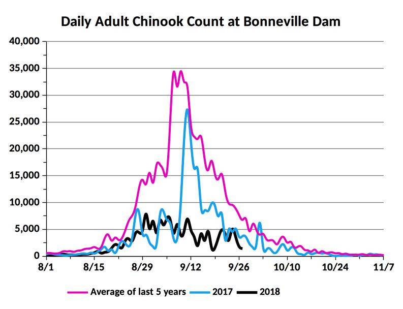 Chinook Counts Bonneville/Lower Granite Dams Idaho Fish and Game