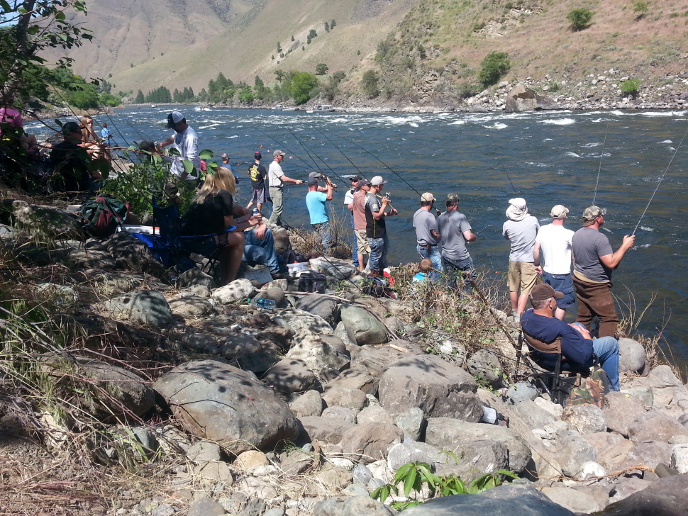Provide input on Chinook salmon seasons at six public meetings