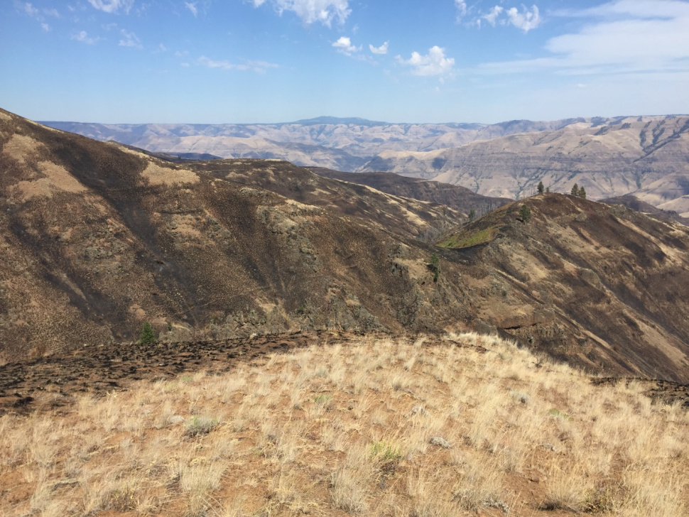 With fire contained, Craig Mountain WMA now open Page 2 Idaho Fish