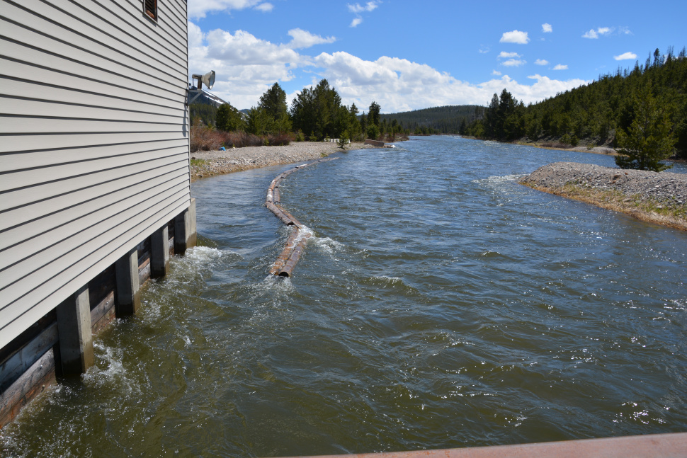 Sawtooth Hatchery raises mountainclimbing Chinook salmon Idaho Fish