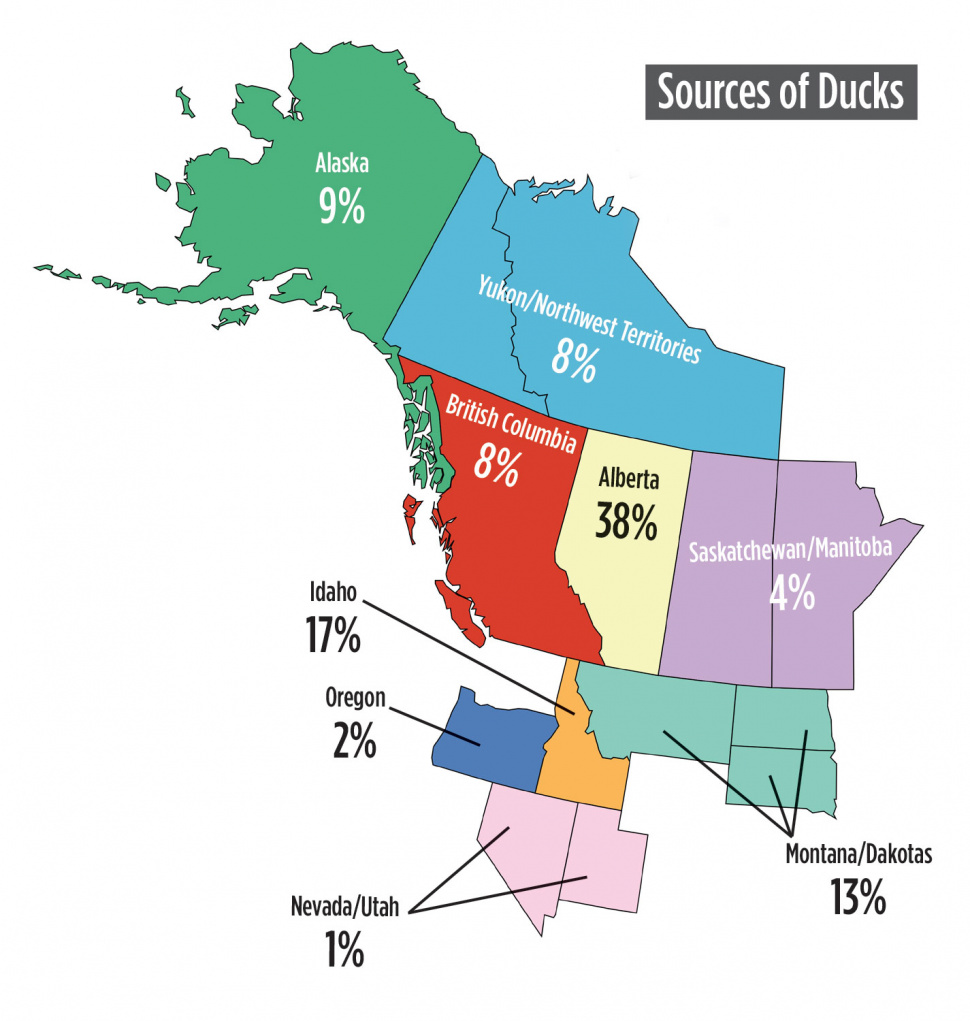 Duck Migration Map 2019