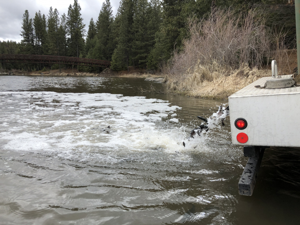 Fishing heats up just in time for Memorial Day weekend in the