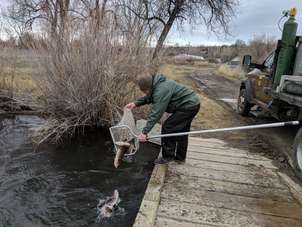 Hagerman WMA is a great early season fishing destination Idaho Fish
