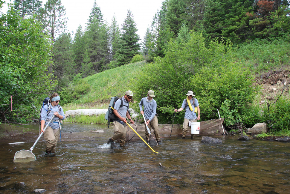 How we monitor steelhead habitat restoration Idaho Fish and Game