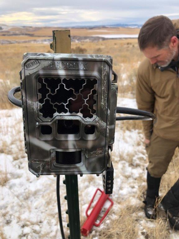 remote game camera