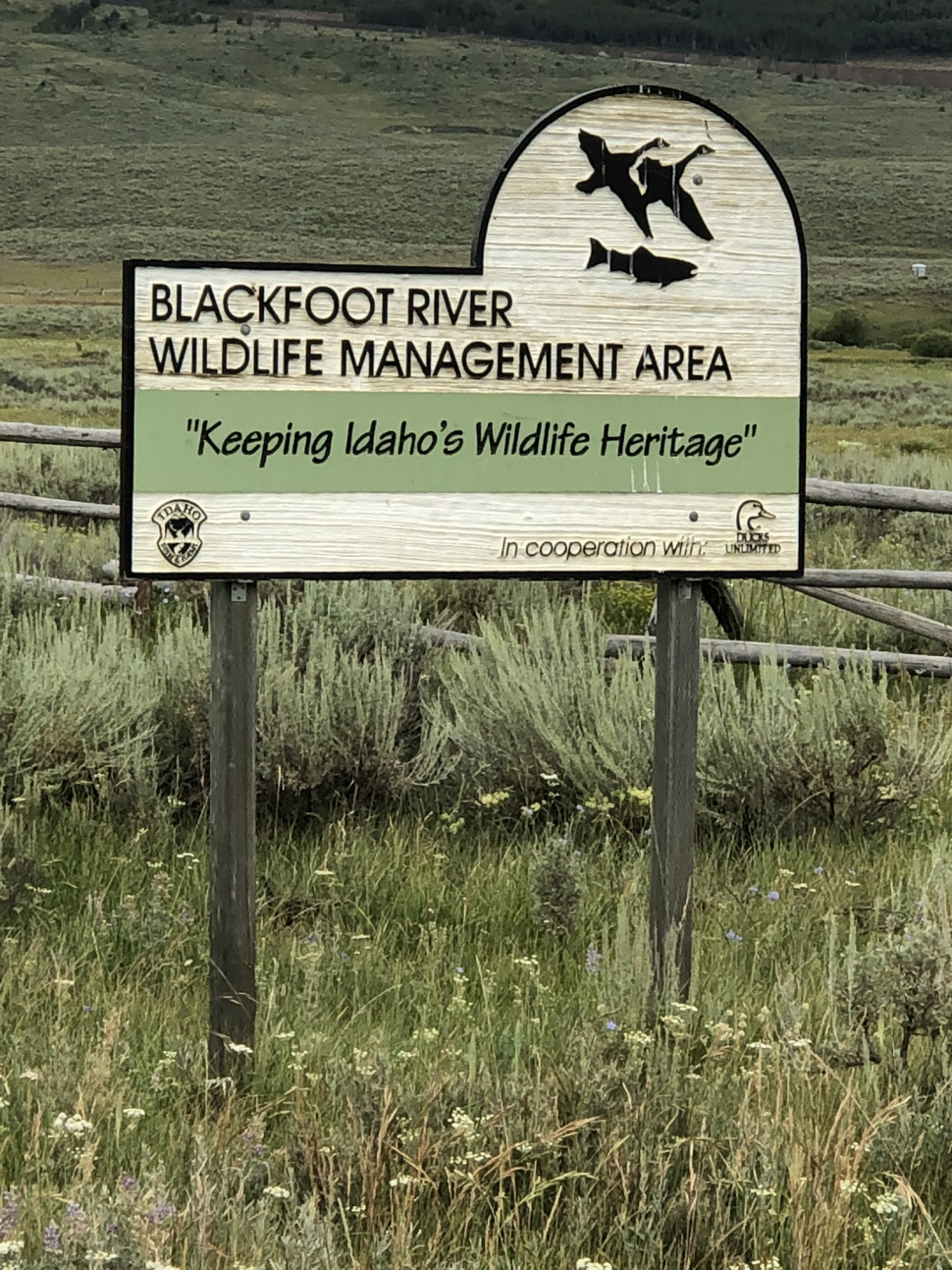 Idaho Fish And Game To Host Open House And Walking Tour On The Blackfoot River Wildlife Management Area In July Idaho Fish And Game