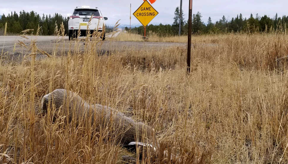 Idaho Master Naturalists Help with Roadside Ecology Project Idaho