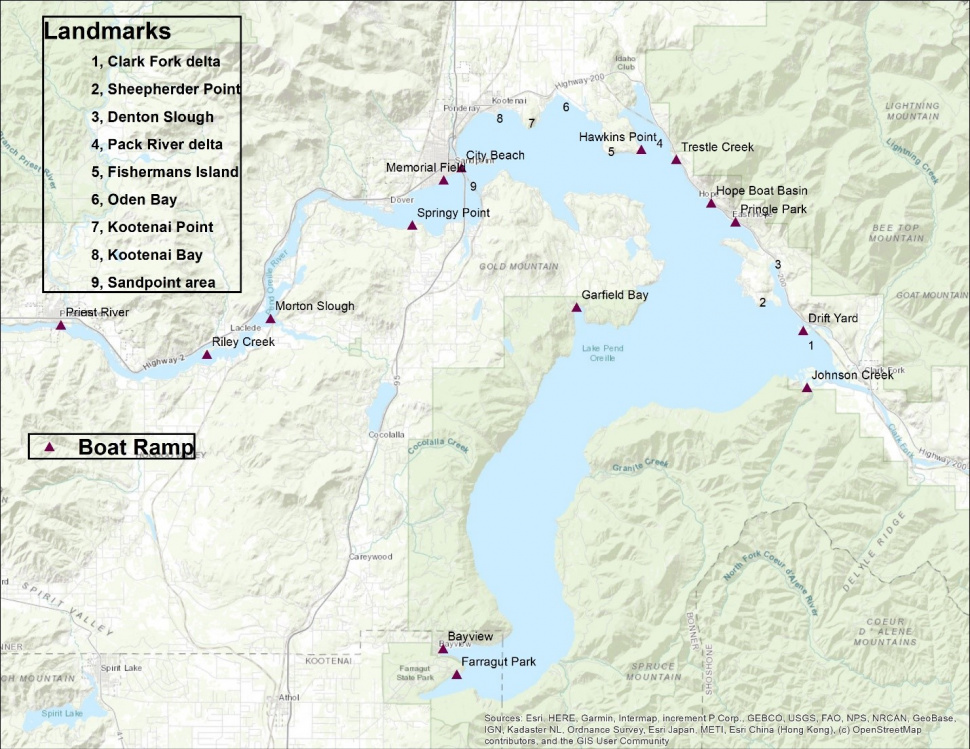 Lake Pend Oreille Fishing Map Walleye Locations In Lake Pend Oreille, June 2020 | Idaho Fish And Game