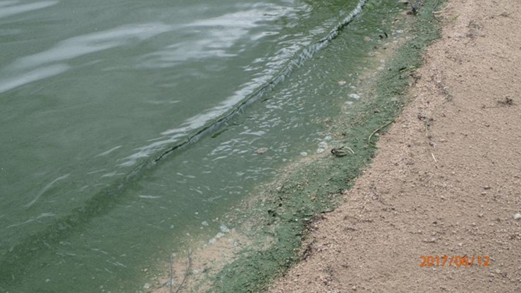mormon reservoir, hazardous algae bloom, public health advisory, 2017
