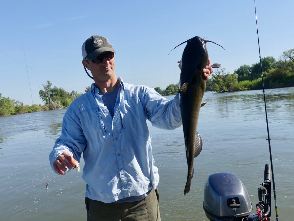 muddy river catfishing flathead rod