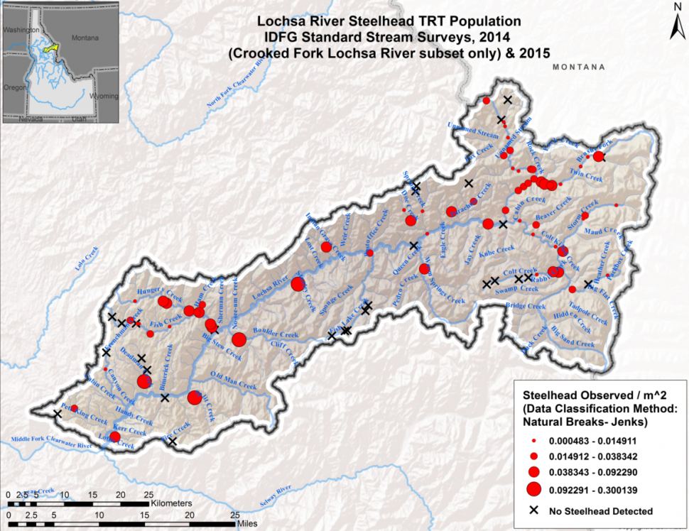 Face down fish counts for Idaho's salmon and steelhead Idaho Fish and