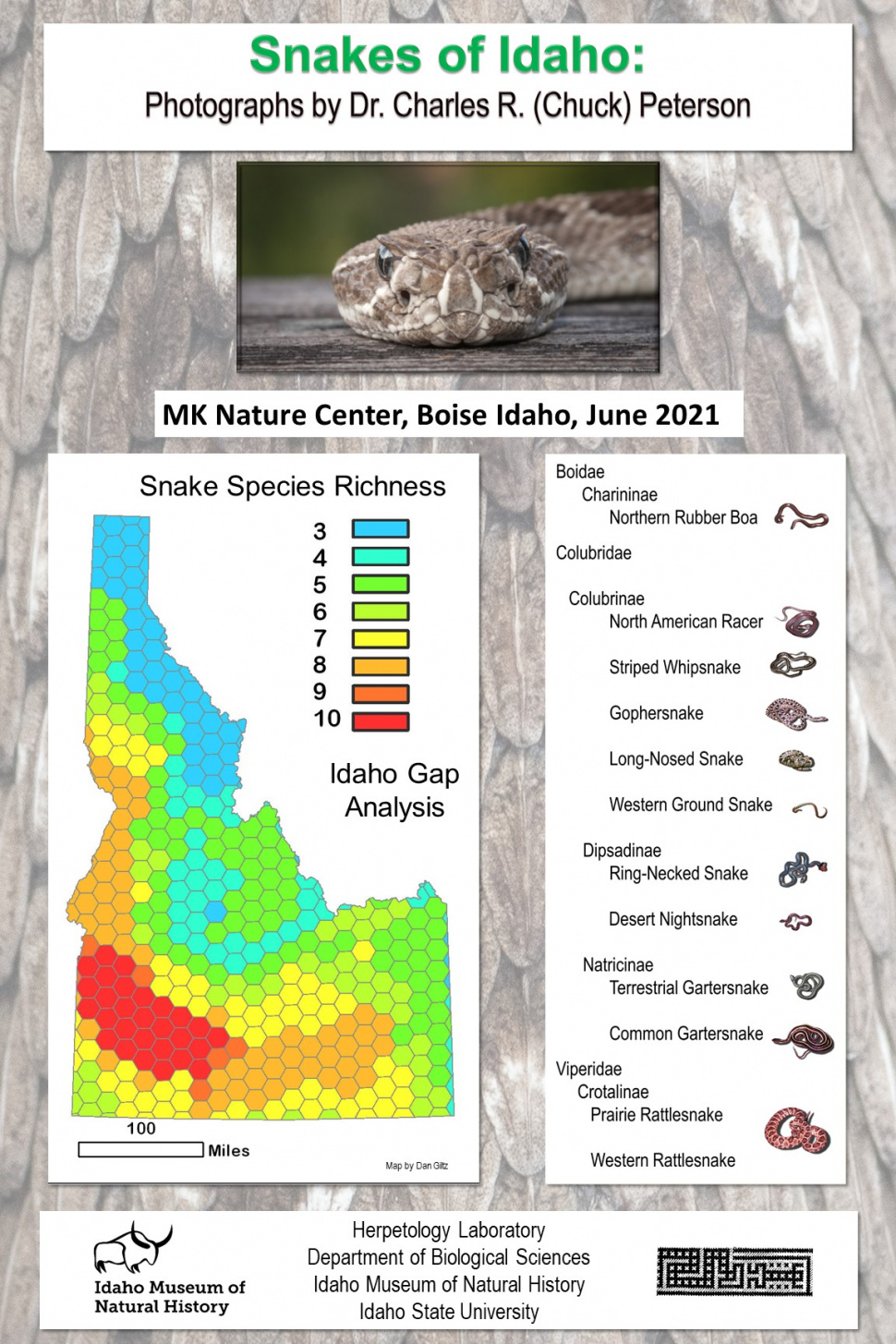 Snakes of Idaho photo exhibit is on display at MK Nature Center Idaho