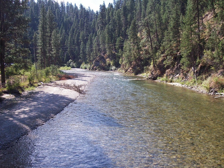 Trout stocking resumes on the South Fork of the Payette River | Idaho ...