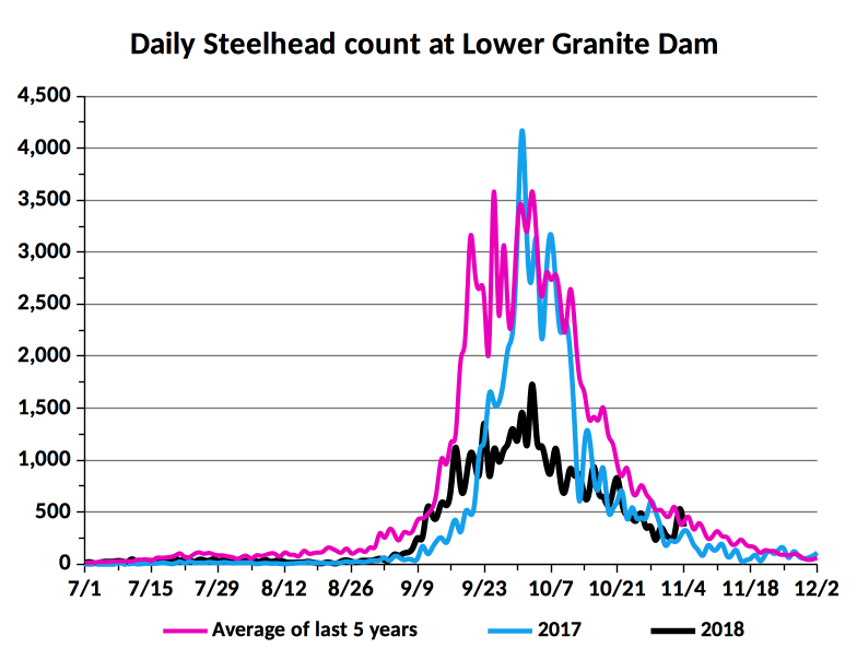 Bonneville Dam Fish Counts 2024 Today - Nat Laurie