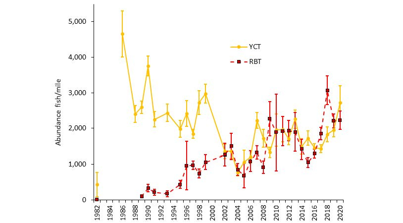 Figure 1.               The abundance of Rainbow Trout (RBT) and Yellowstone Cutthroat Trout (YCT) estimated over time at the Conant survey reach.