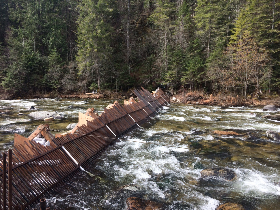 Fish weirs: Old technology is still a crucial tool for today's ...