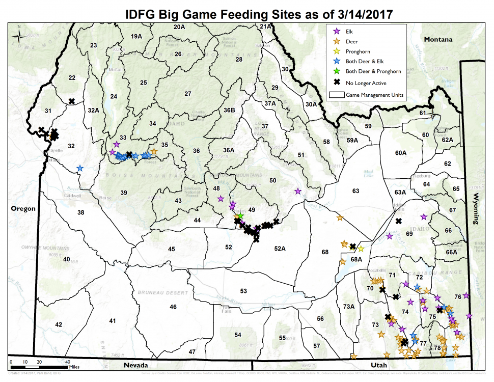 Big Game Winter Feeding in Idaho Idaho Fish and Game