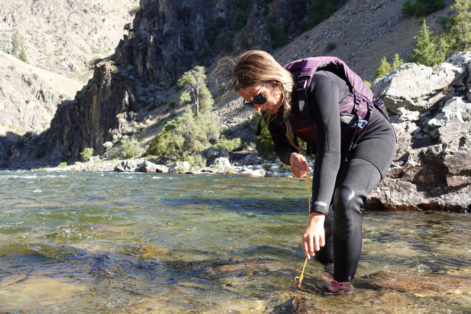 Tributary 'plumes' as coldwater oasis in the Middle Fork Salmon River