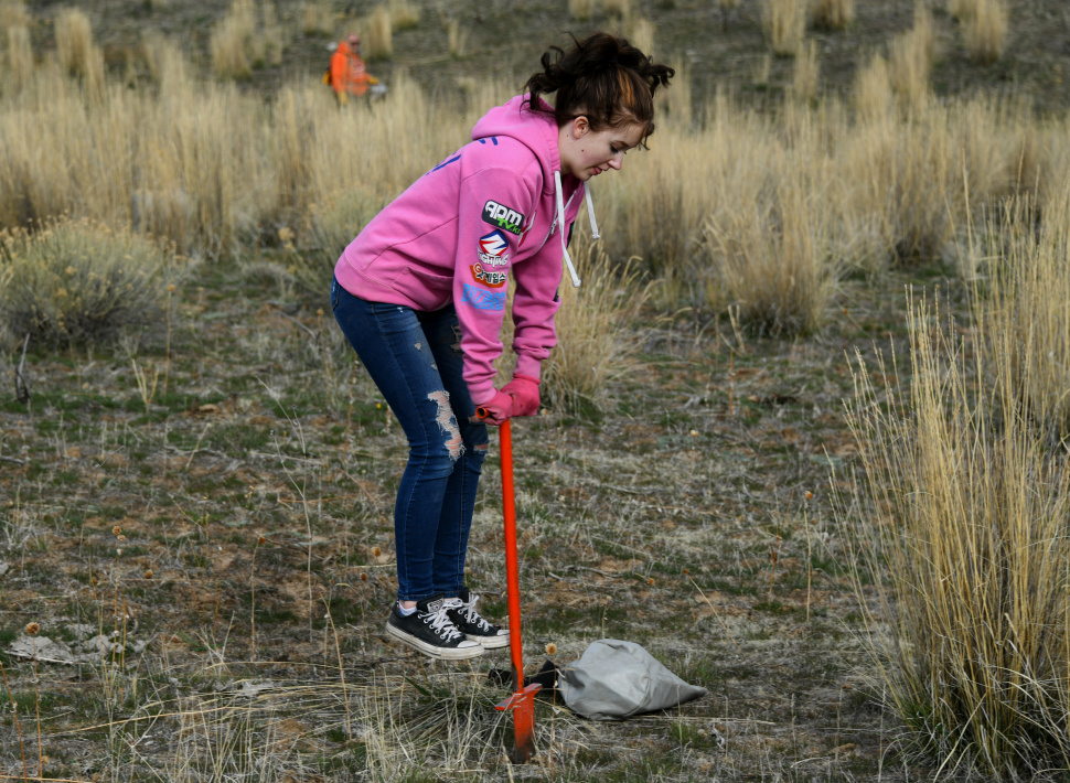 putting_your_whole_body_into_planting_sagebrush_at_walker_res_march_2020