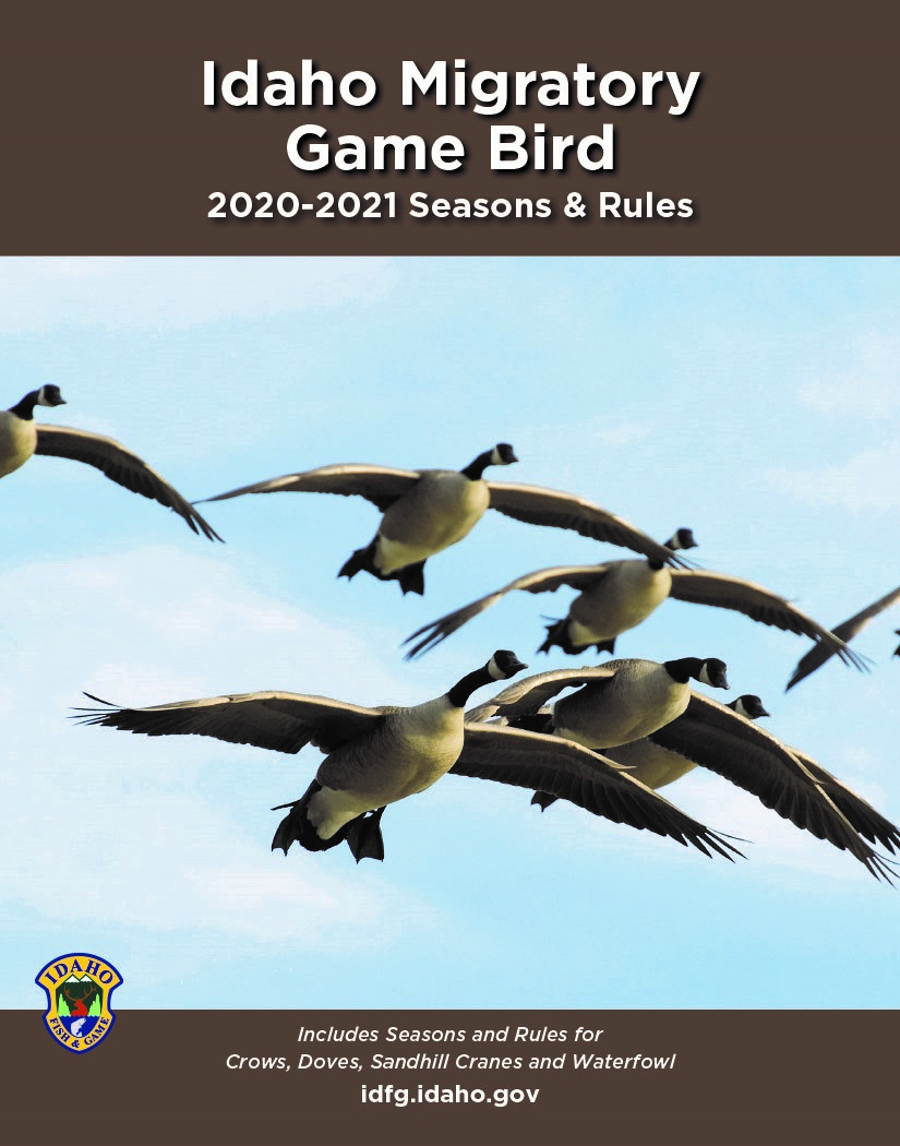 Migratory Game Bird Seasons and Rules Idaho Fish and Game