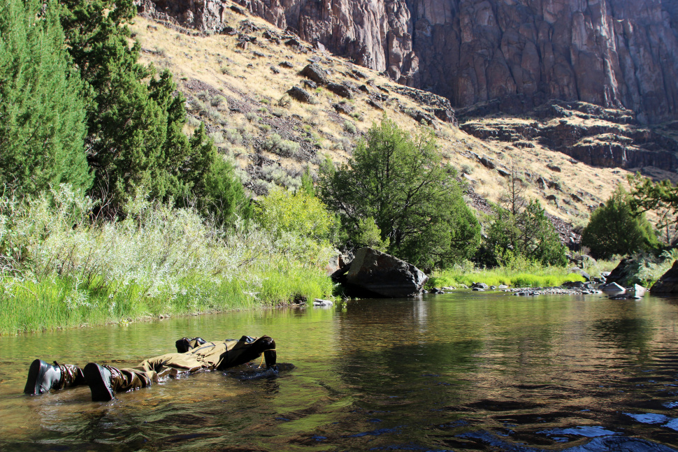 snorkel_survey_in_the_jarbidge_river_aug_2022