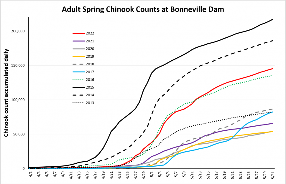 Bonneville Chinook Counts Graph