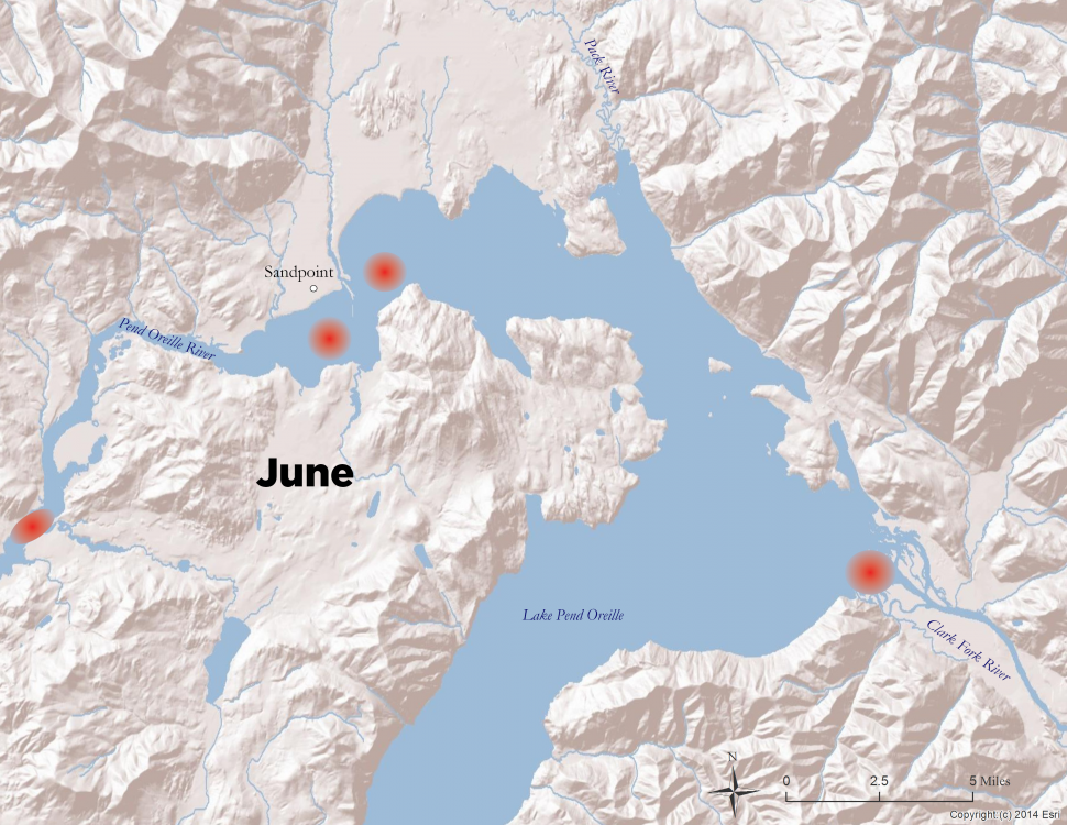 Lake Pend Oreille Walleye Map Walleye Locations In Lake Pend Oreille, June 2020 | Idaho Fish And Game