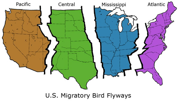 waterfowl_flyways_map_credit_south_carolina_department_of_natural_resources_scdnr.jpg