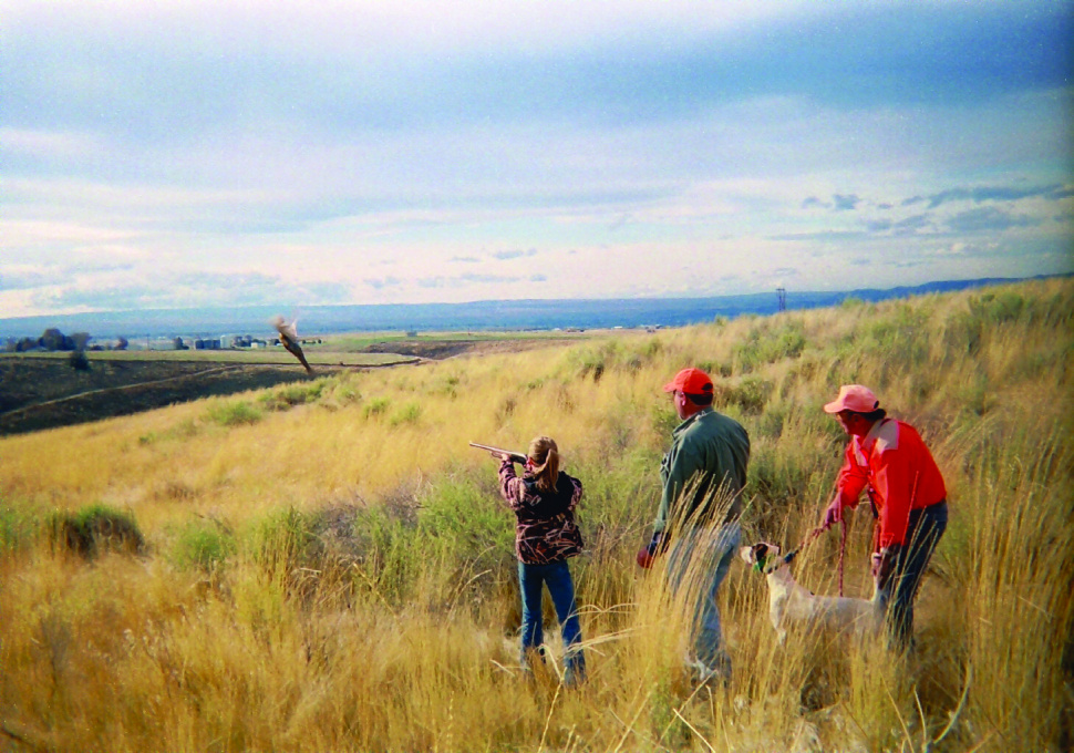 Pheasant stocking is nearly done in the Panhandle and elsewhere in the