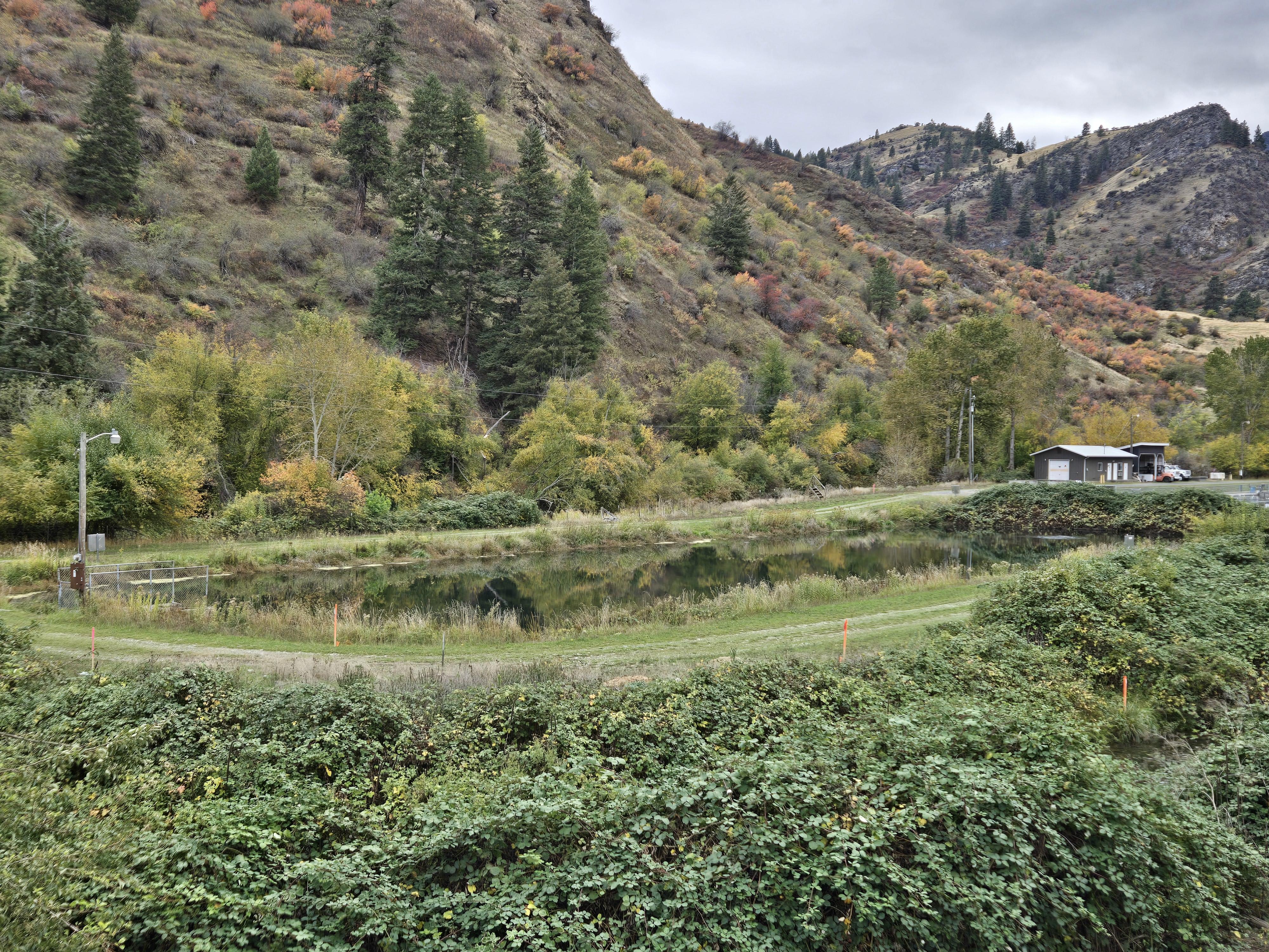 Trout pond, rapid river hatchery