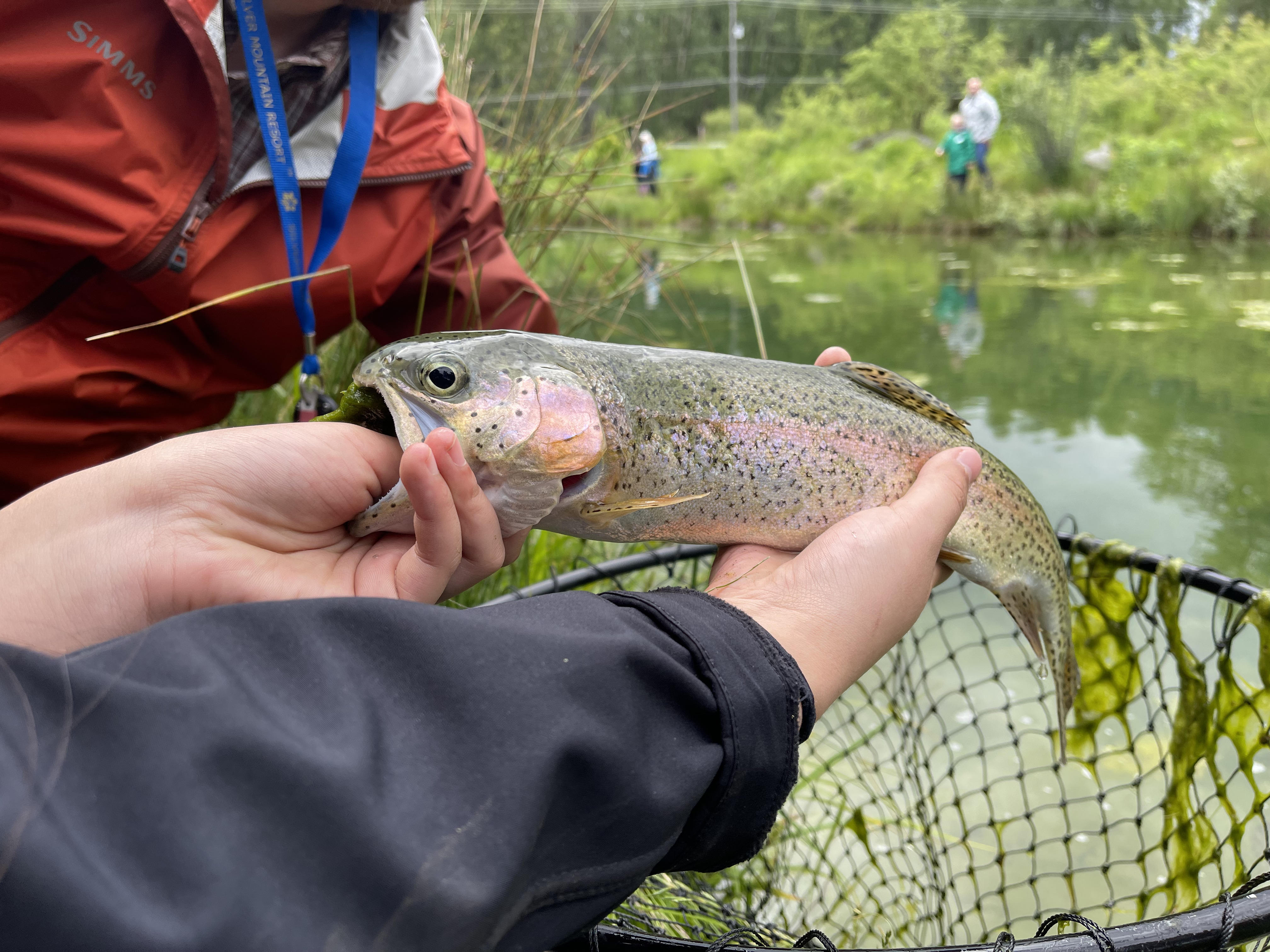 Karolyn's Pond trout