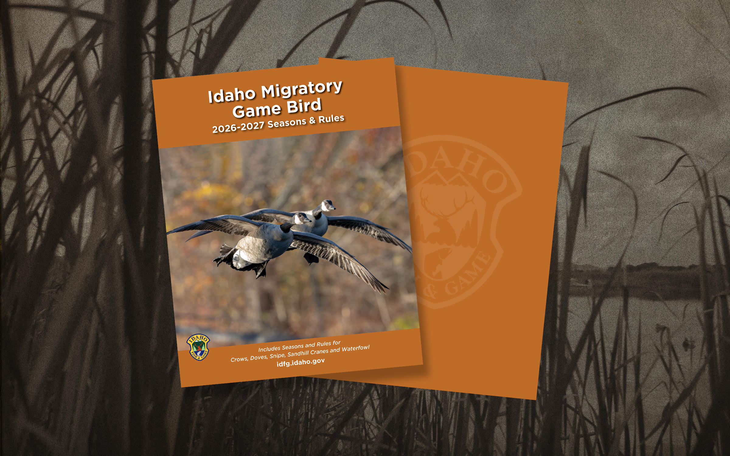 2026-2027 migratory game bird regs banner