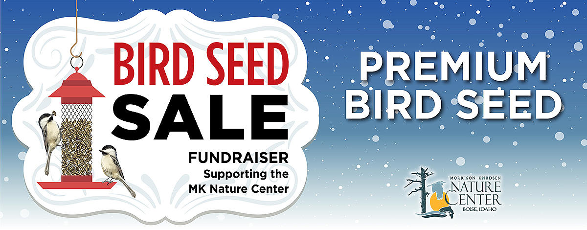 Bird Seed Sale
