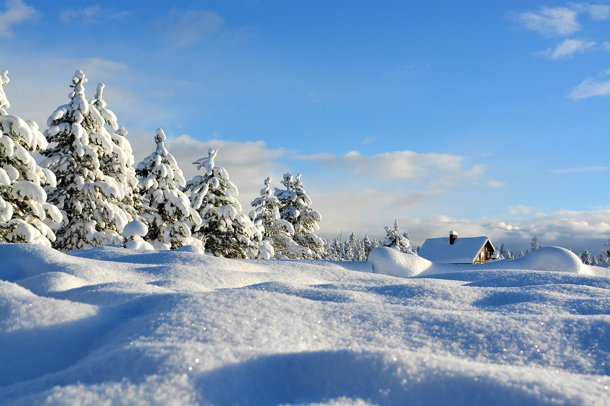 WINTER LANDSCAPE SNOW