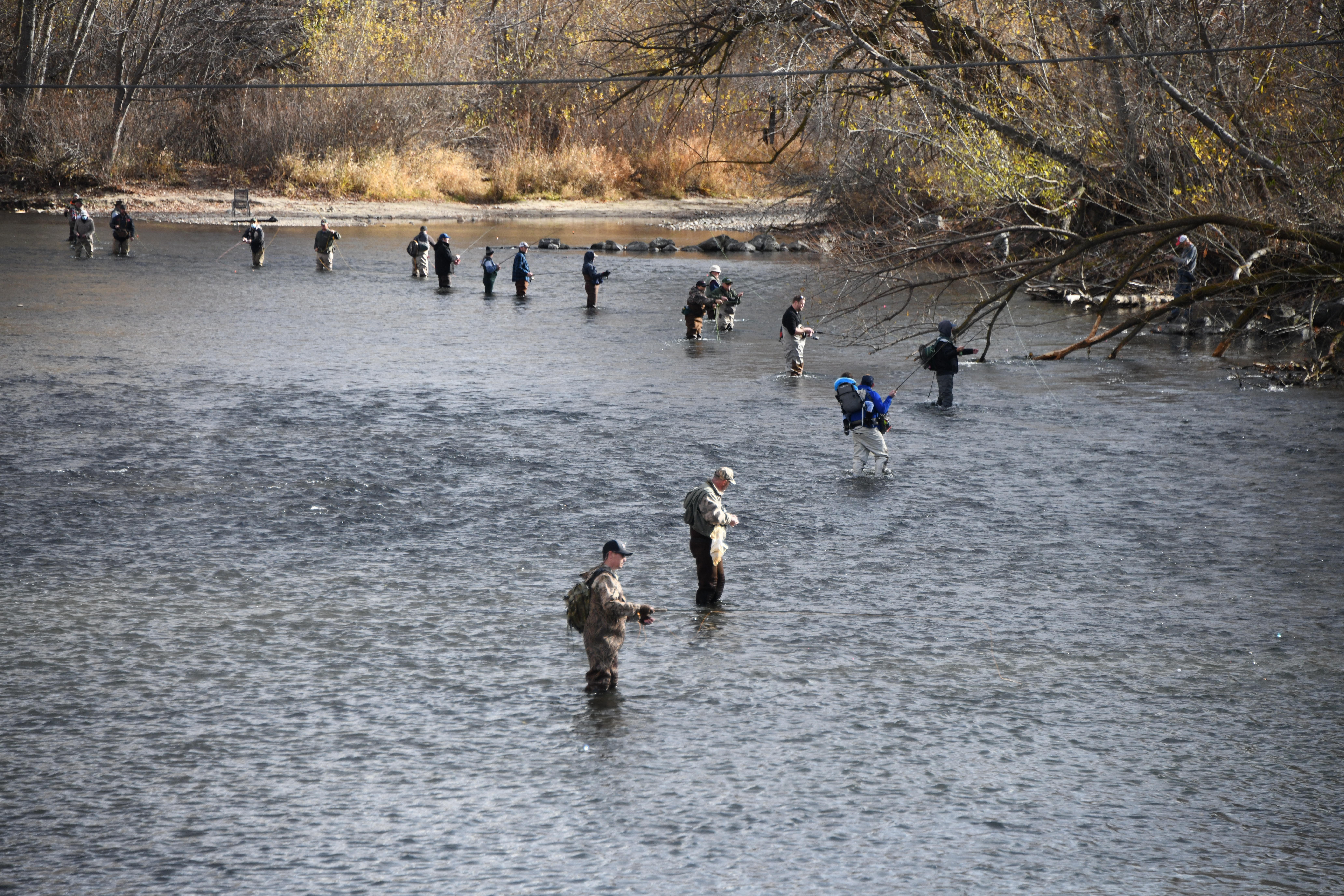 Boise River Steelhead 2020.jpg